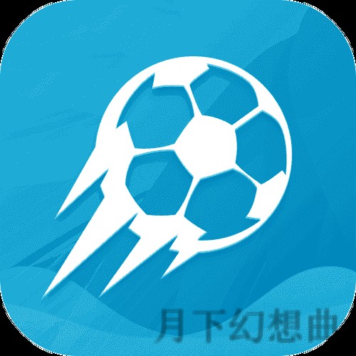 下载极速体育APP安卓版，畅享体育盛宴